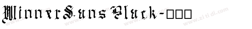 WinnerSans Black字体转换